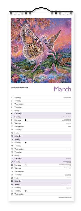 2027 Celestial Journeys Wall Slim Calendar