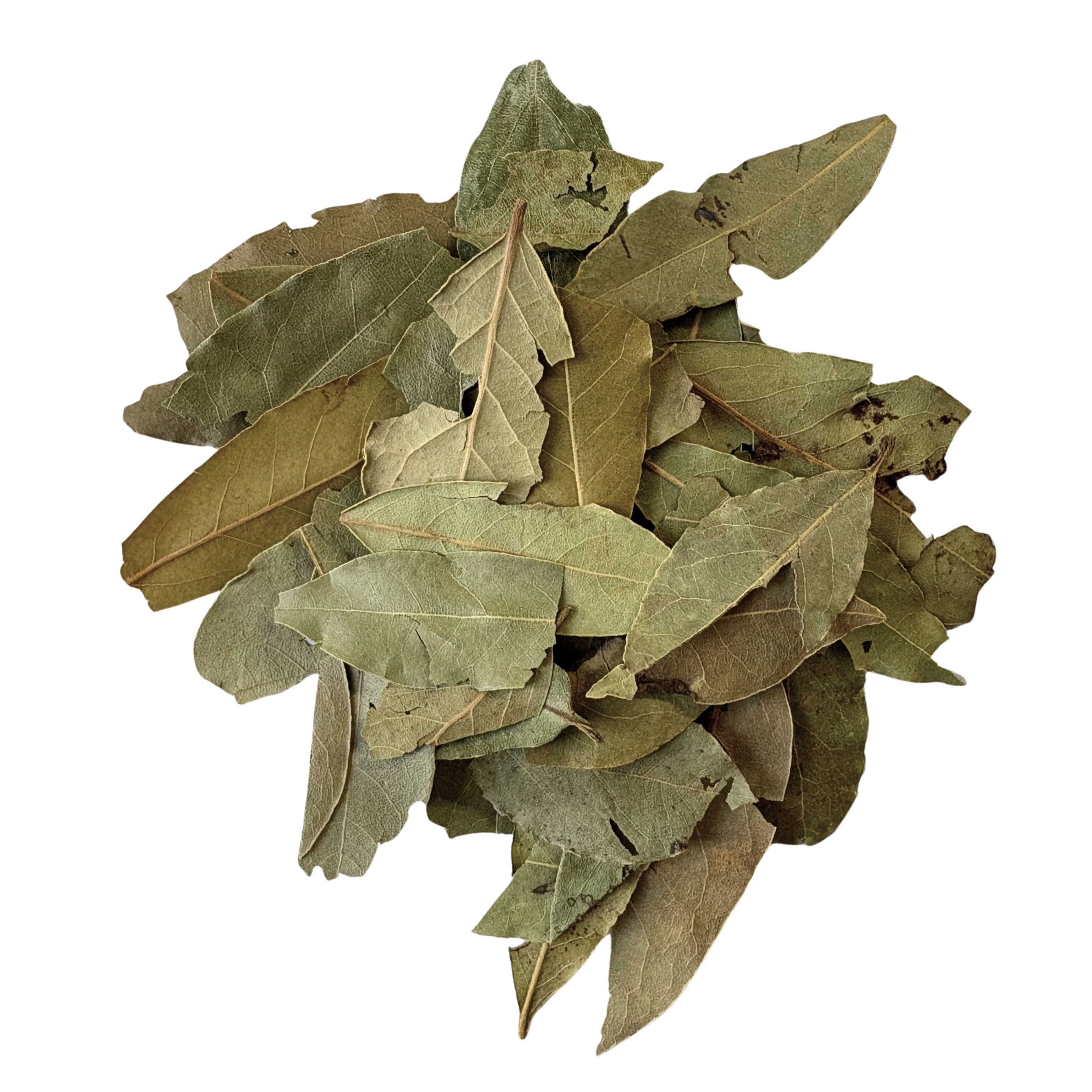 Organic Bay Leaves image 0