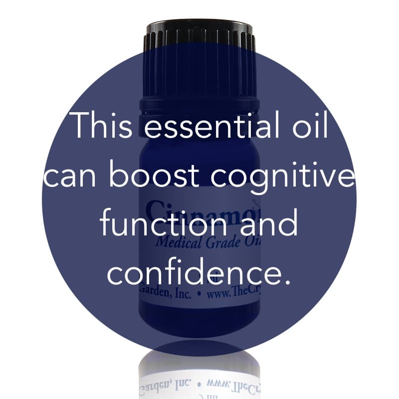 Cinnamon Essential Oil image 1