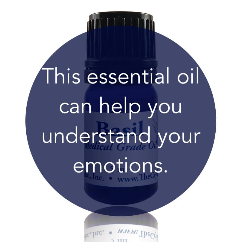 Basil Essential Oil image 1
