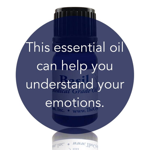 Basil Essential Oil image 1