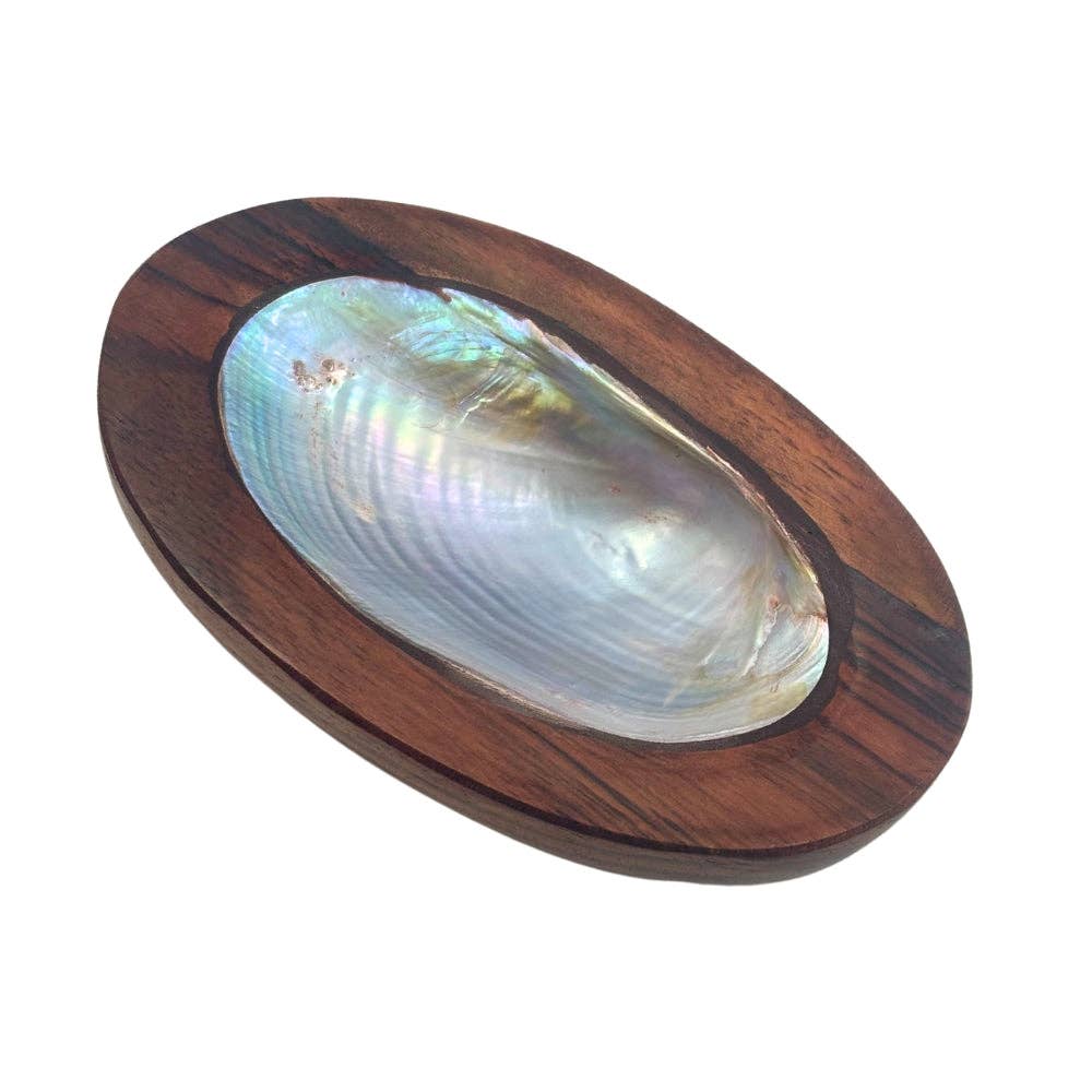 Abalone Shell in Wood Base