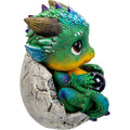 Polyresin Mythical Baby Dragon Sitting in Shell