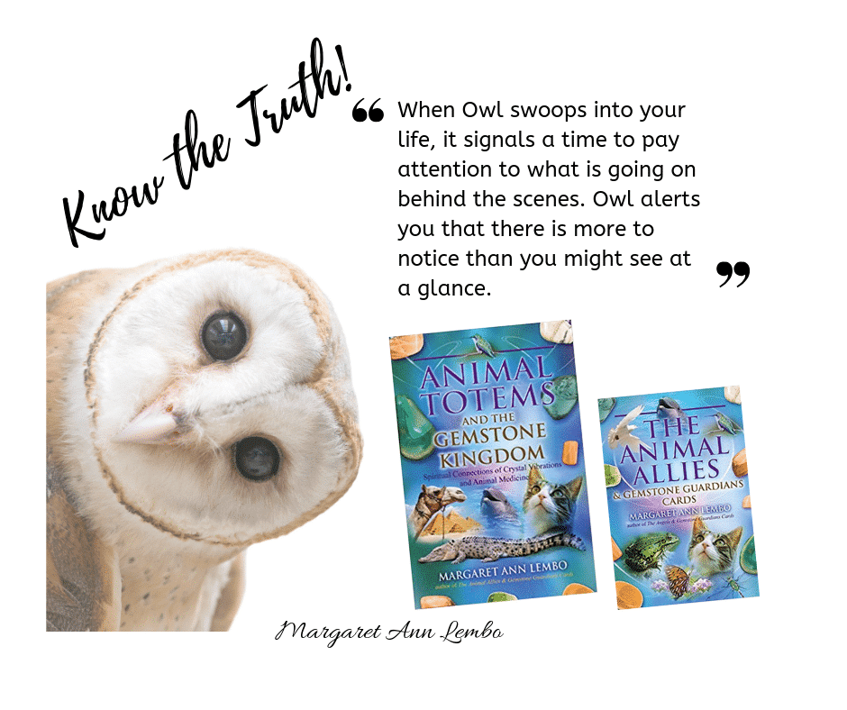 Animal Totems and the Gemstone Kingdom: Spiritual Connections of Crystal Vibrations and Animal Medicine image 1