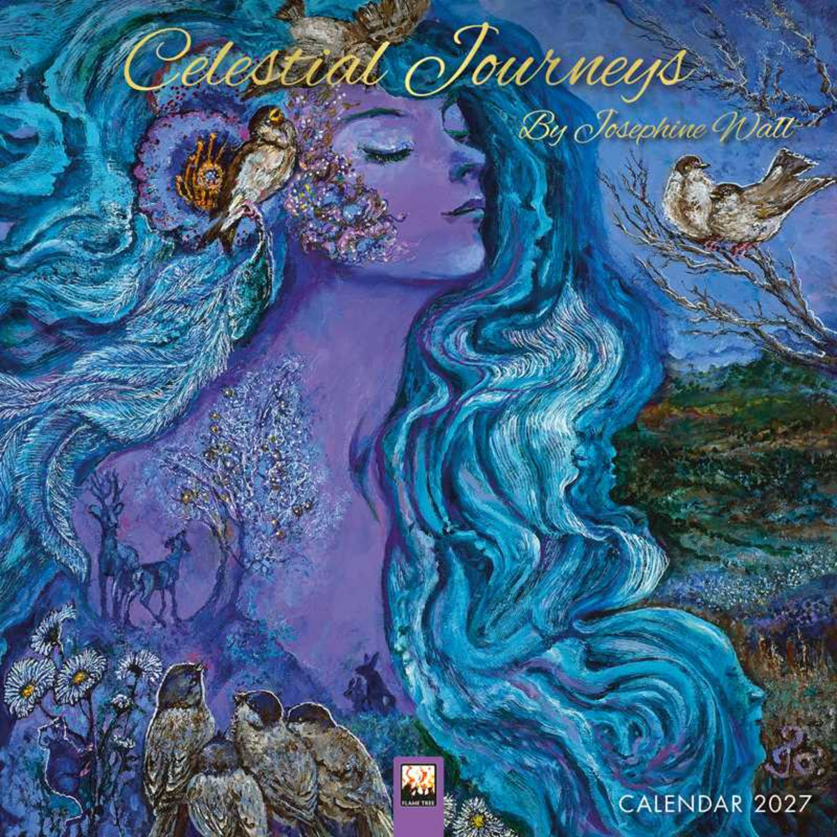 Celestial Journeys Wall Calendar 2027