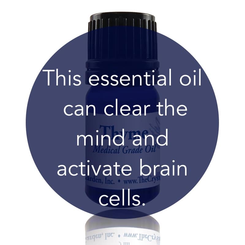 Thyme Essential Oil image 1