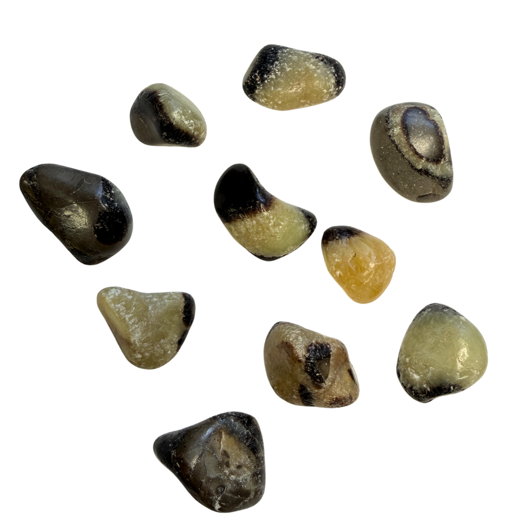 Septarian Tumbled image 0