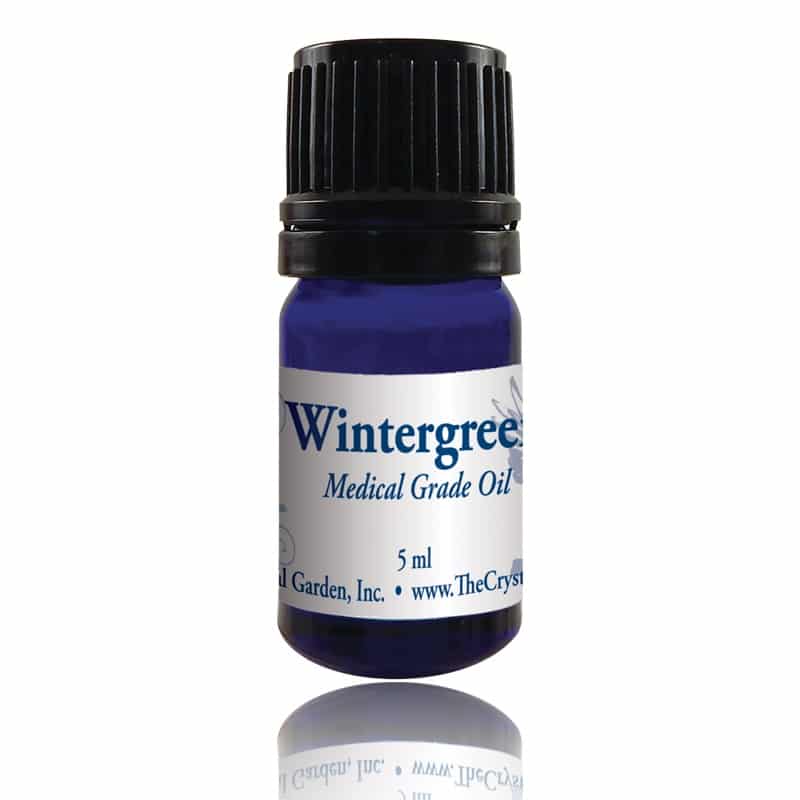 Wintergreen Essential Oil image 2