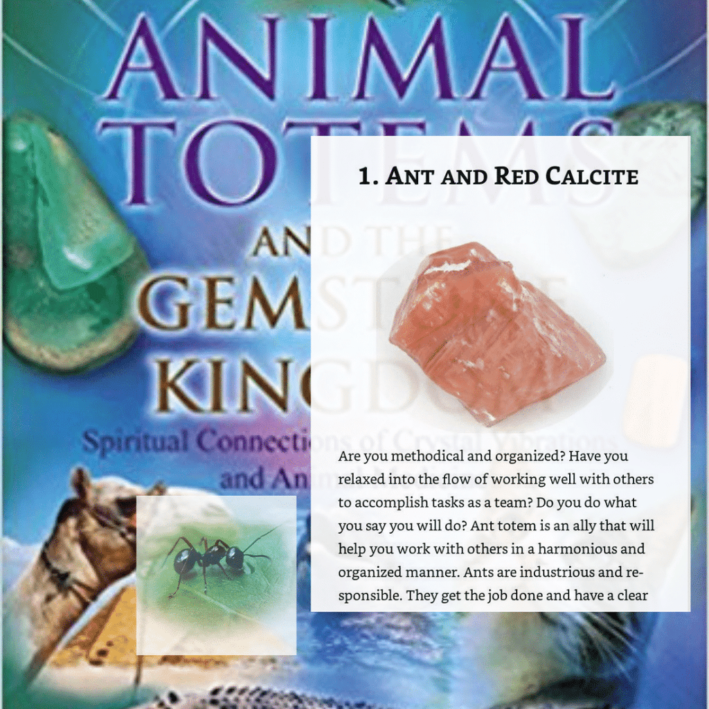 Animal Totems and the Gemstone Kingdom: Spiritual Connections of Crystal Vibrations and Animal Medicine image 2