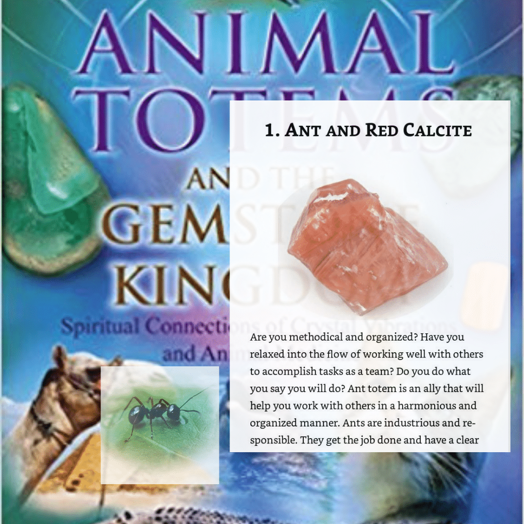 Animal Totems and the Gemstone Kingdom: Spiritual Connections of Crystal Vibrations and Animal Medicine image 2