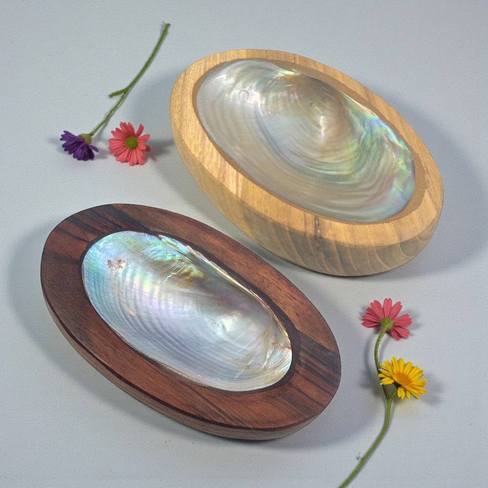 Abalone Shell in Wood Base