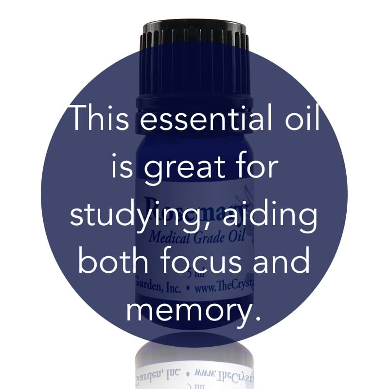 Rosemary Essential Oil image 1