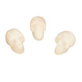 Rose Quartz Skull image 0