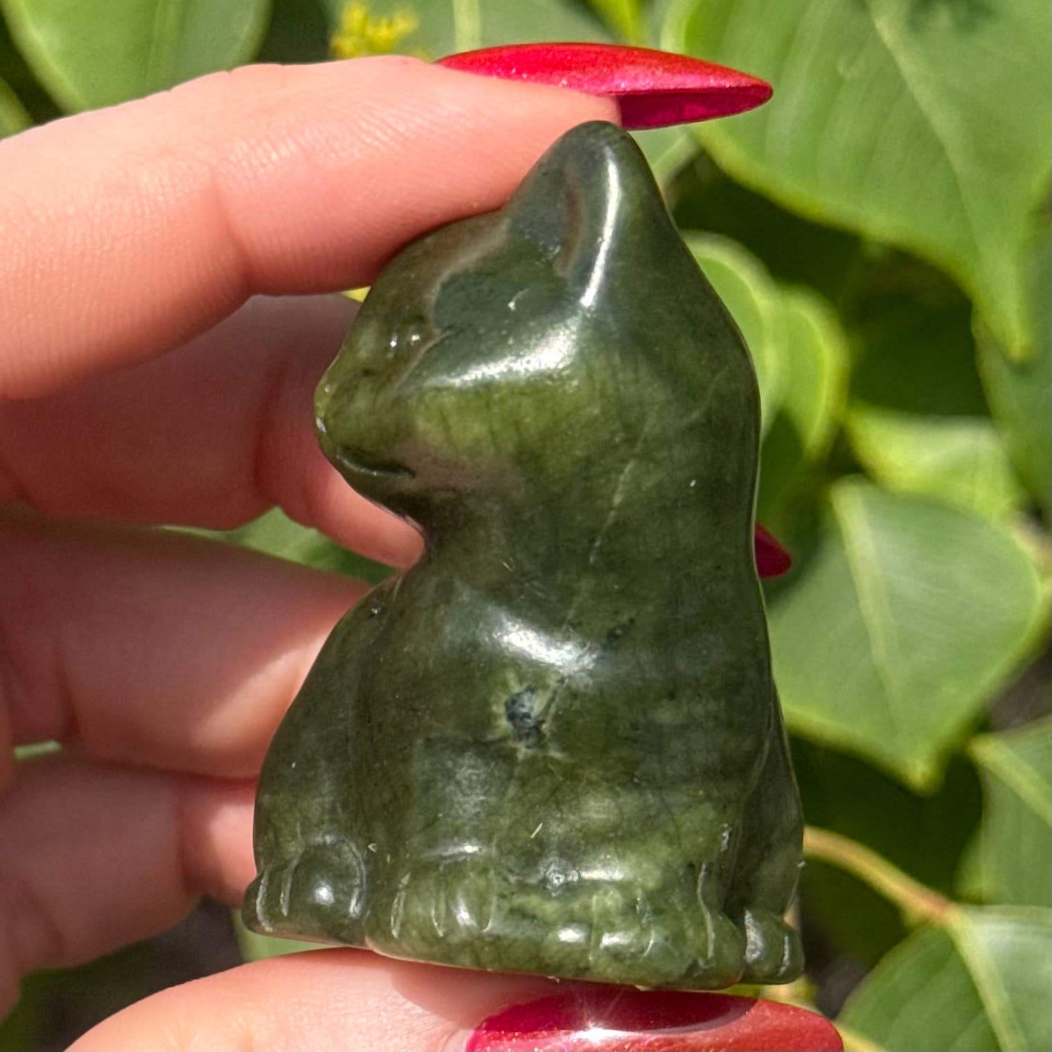 Serpentine Sitting Kitty