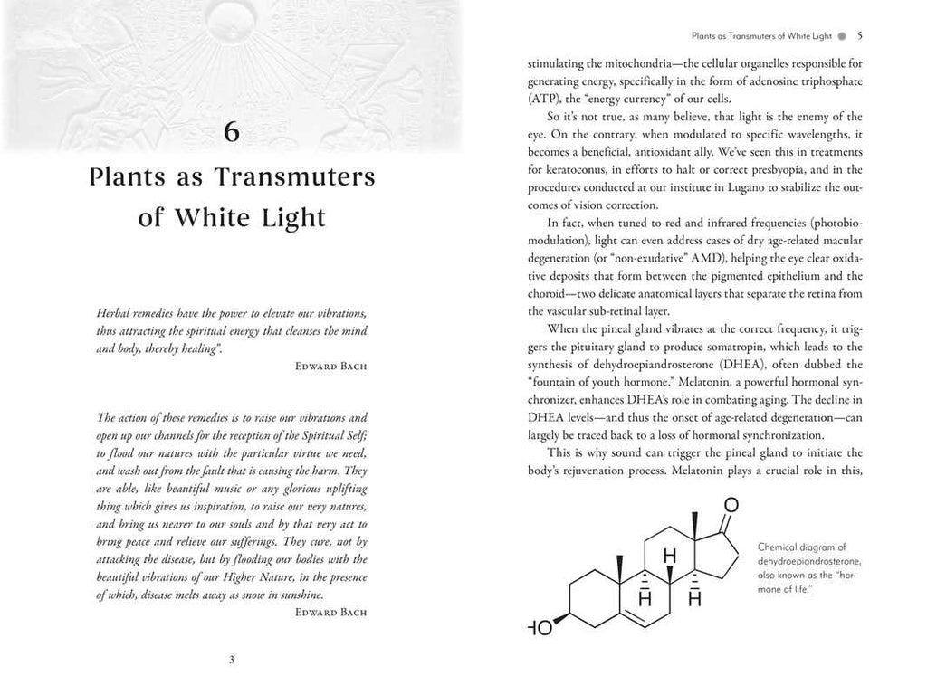 Awakening the Pineal Gland: Celular Rejuvenation Through iIght and Sound