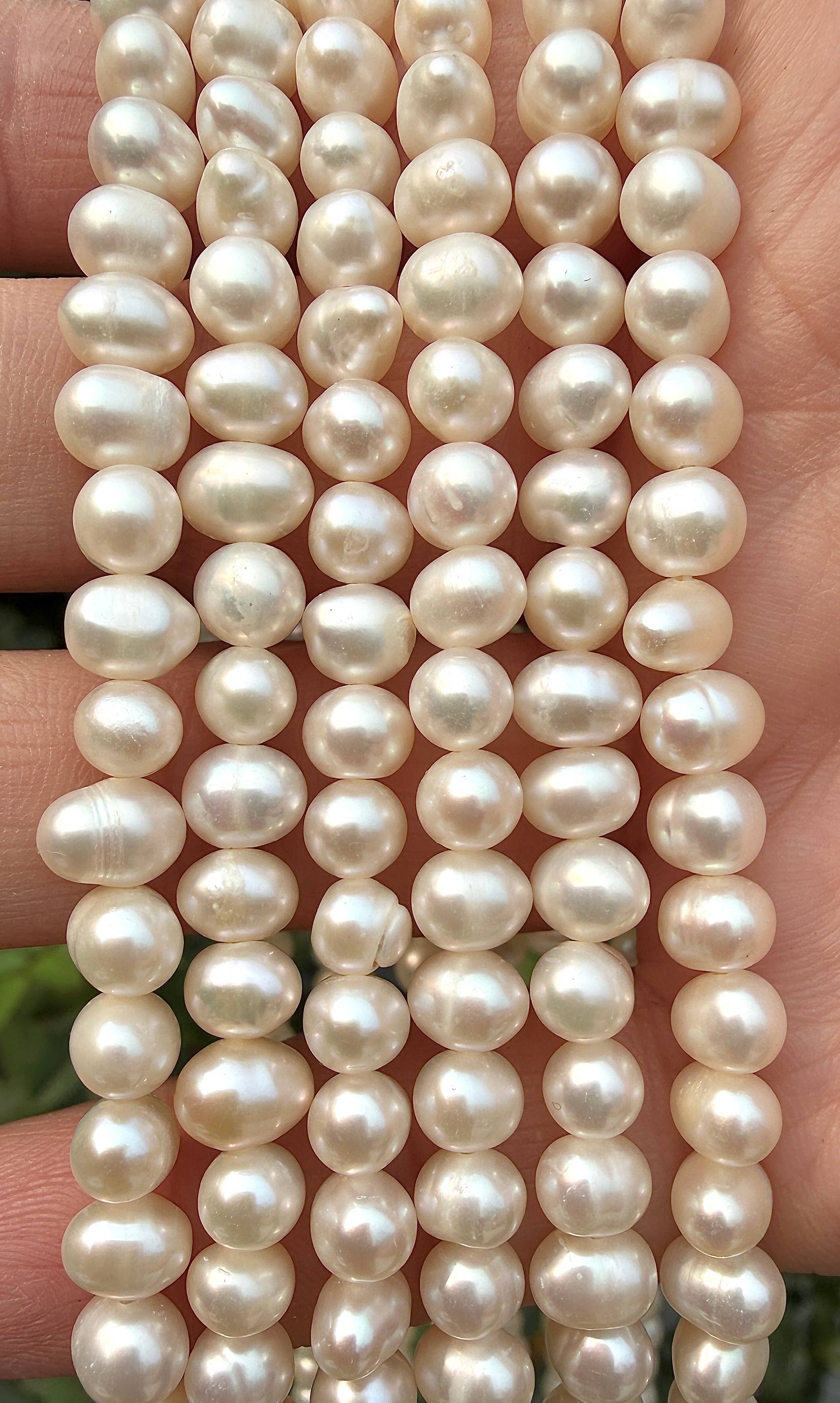 Natural Freshwater Pearl Necklace