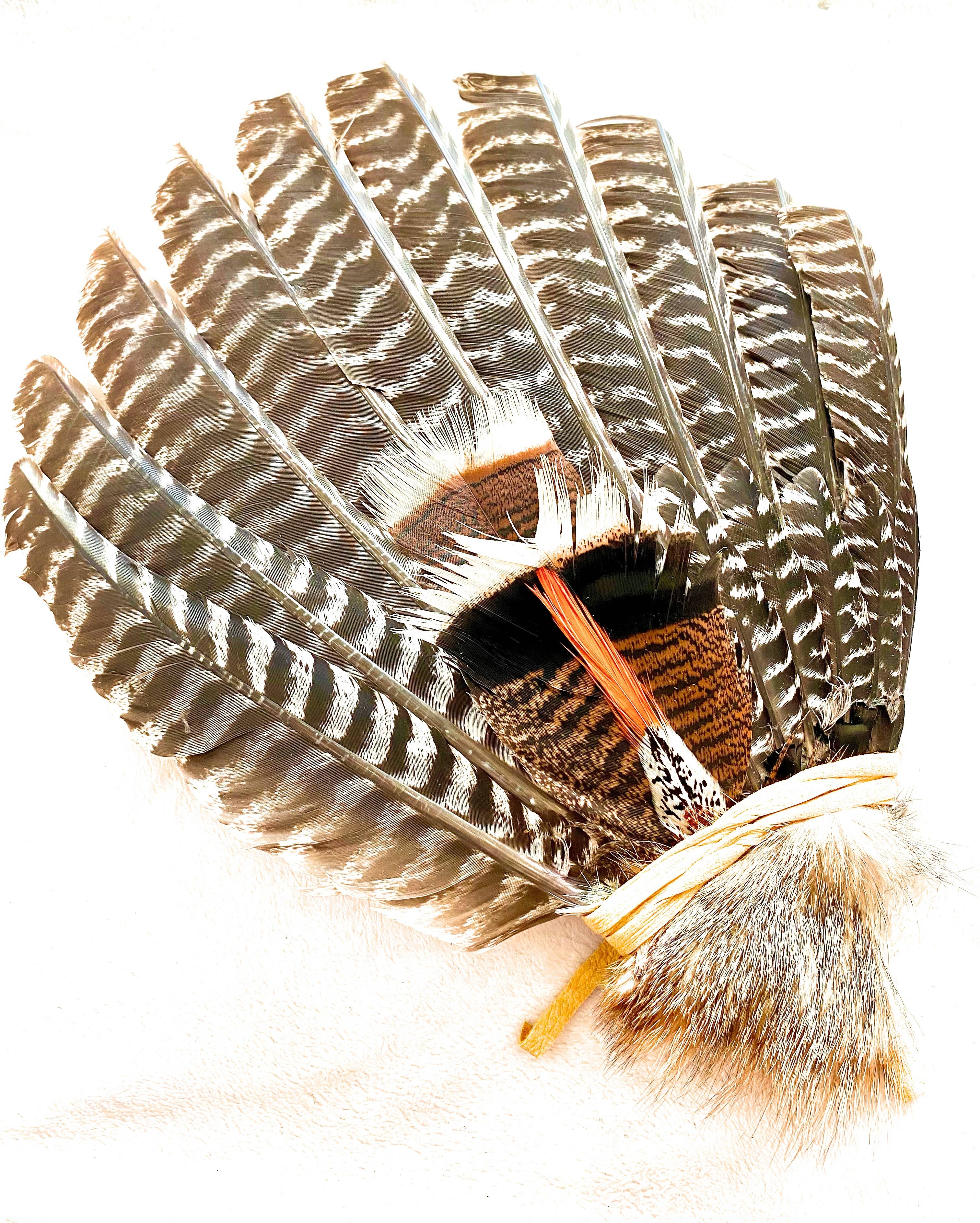 Extra Large Full Wing Smudge Fan