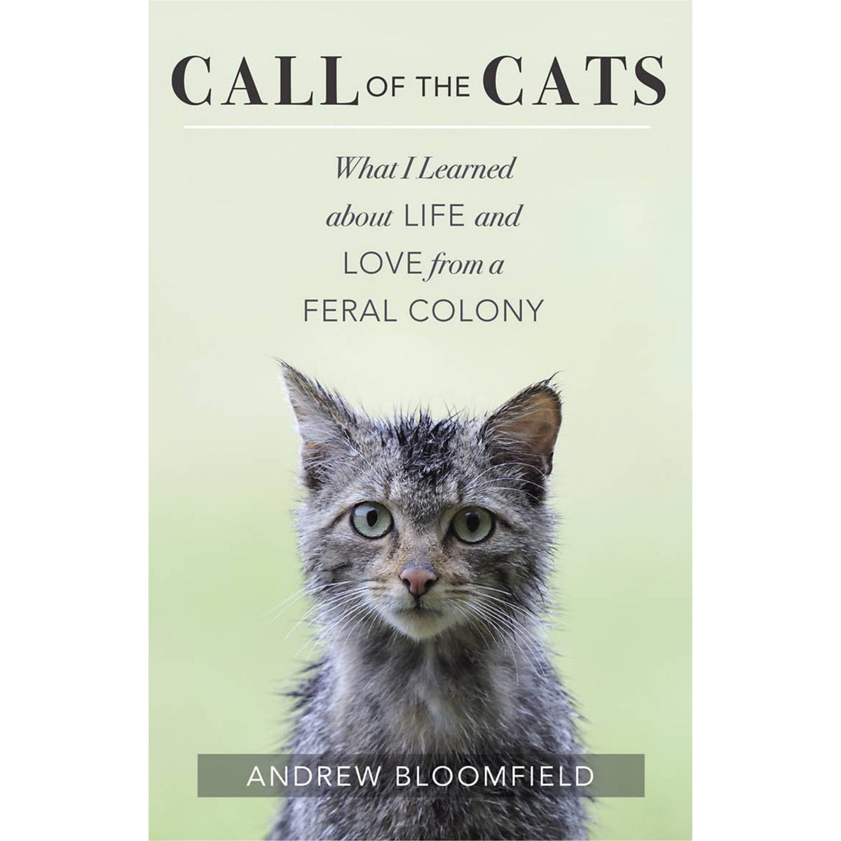 Book cover for 'Call of the Cats' by Andrew Bloomfield, featuring a close-up photo of a gray tabby cat against a pale green background with black serif text.