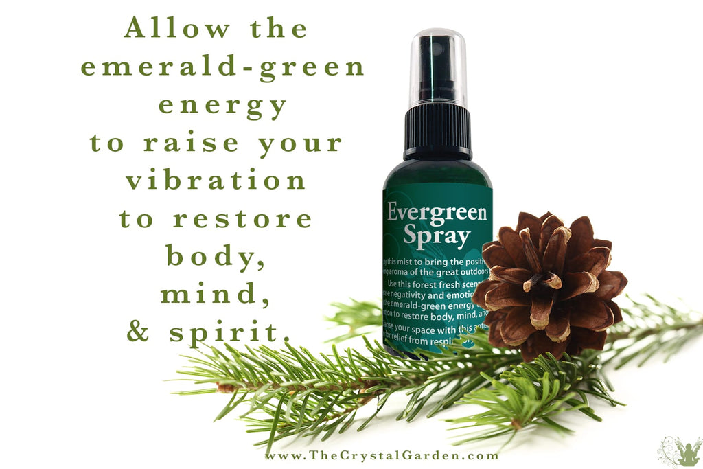 Evergreen Spray image 3