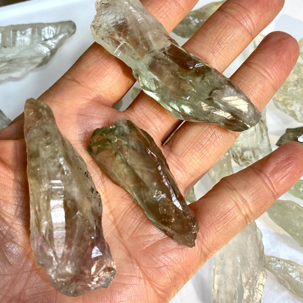Three rough, natural samples of Raw Prasiolite Green Amethyst Crystals points held in a person's hand, with more similar crystals visible in the background.