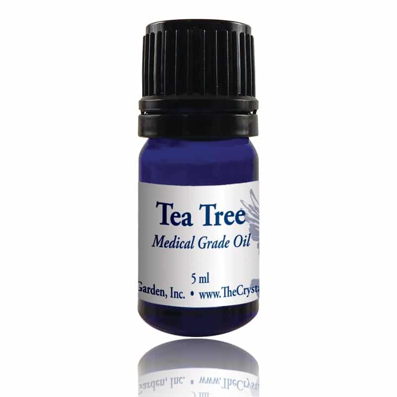 Tea Tree Essential Oil image 2