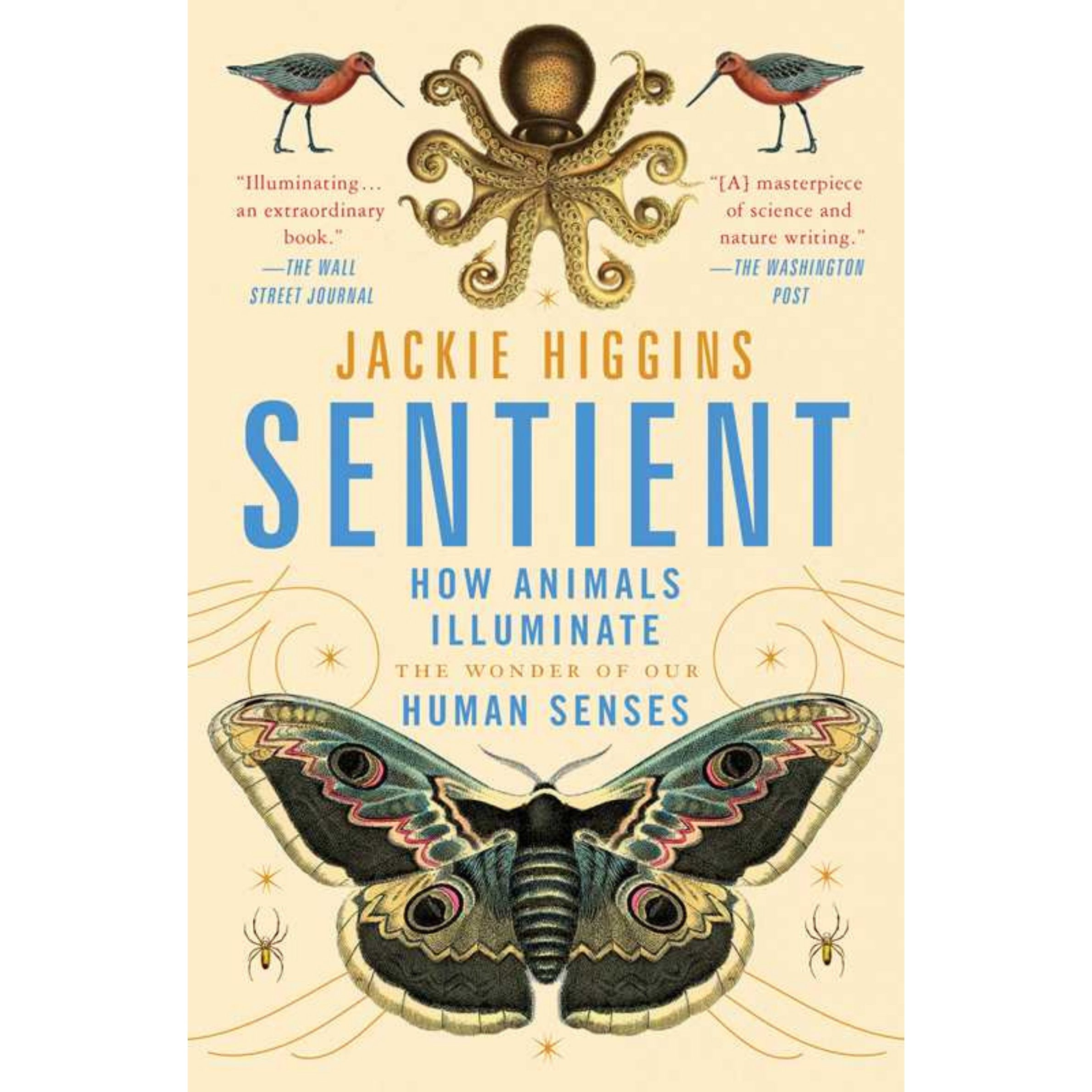 Book cover of 'Sentient: How Animals Illuminate the Wonder of Our Human Senses' by Jackie Higgins, featuring vintage-style illustrations of an octopus, birds, a butterfly, and spiders on a cream background.