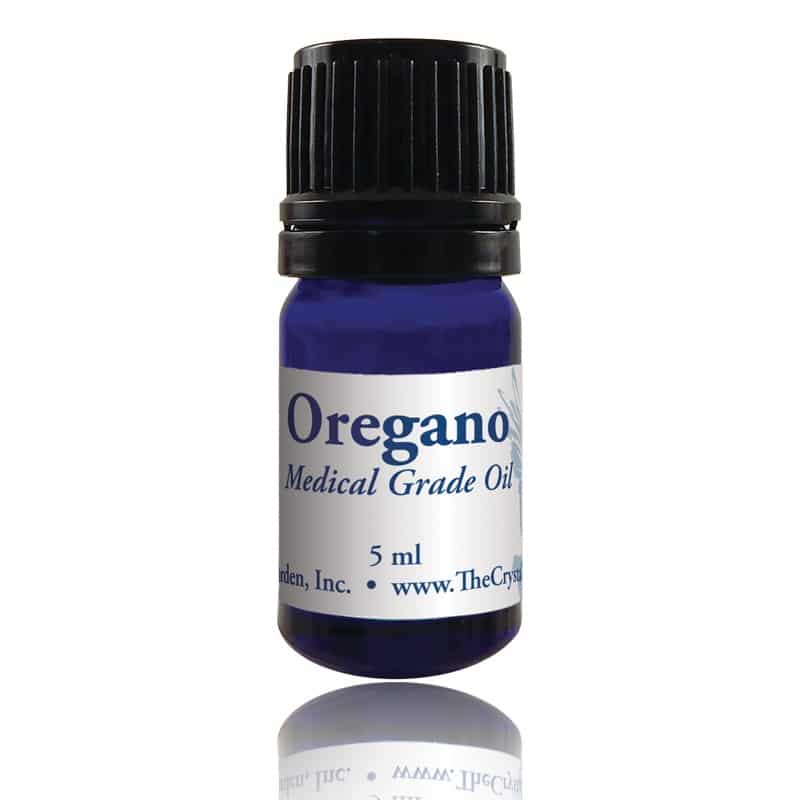 Oregano Essential Oil image 0