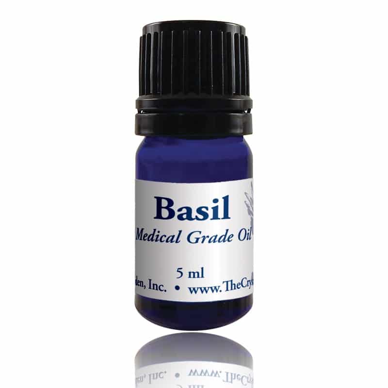 Basil Essential Oil image 0