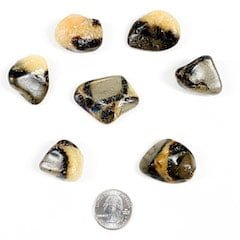 Septarian Tumbled image 1