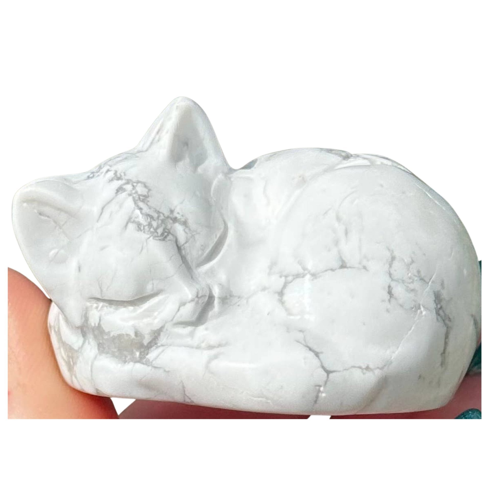 Sleepy Kitty Howlite