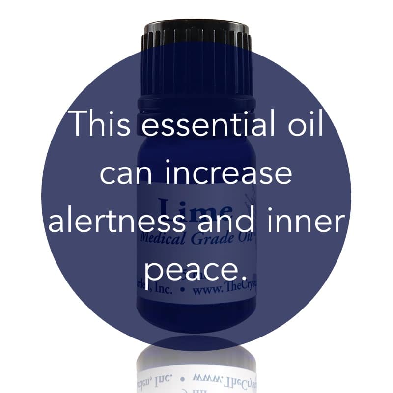 Lime Essential Oil image 1