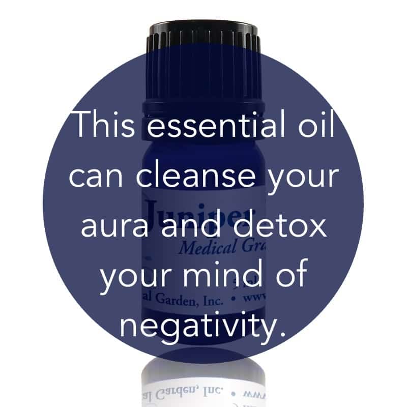 Juniper Berry Essential Oil image 1