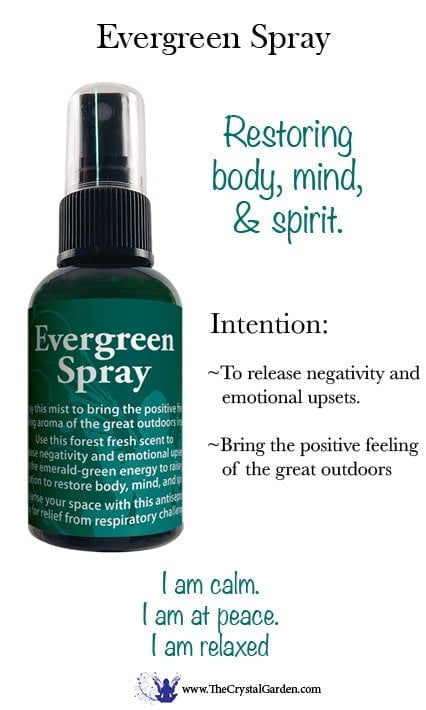 Evergreen Spray image 2