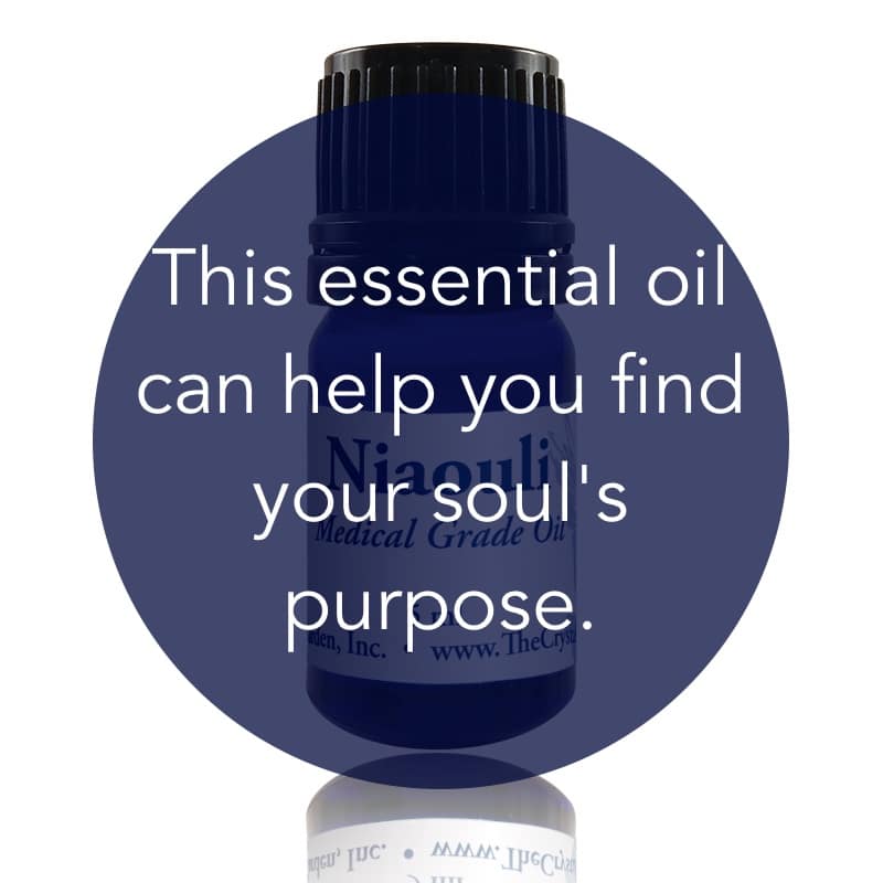 Niaouli Essential Oil image 1