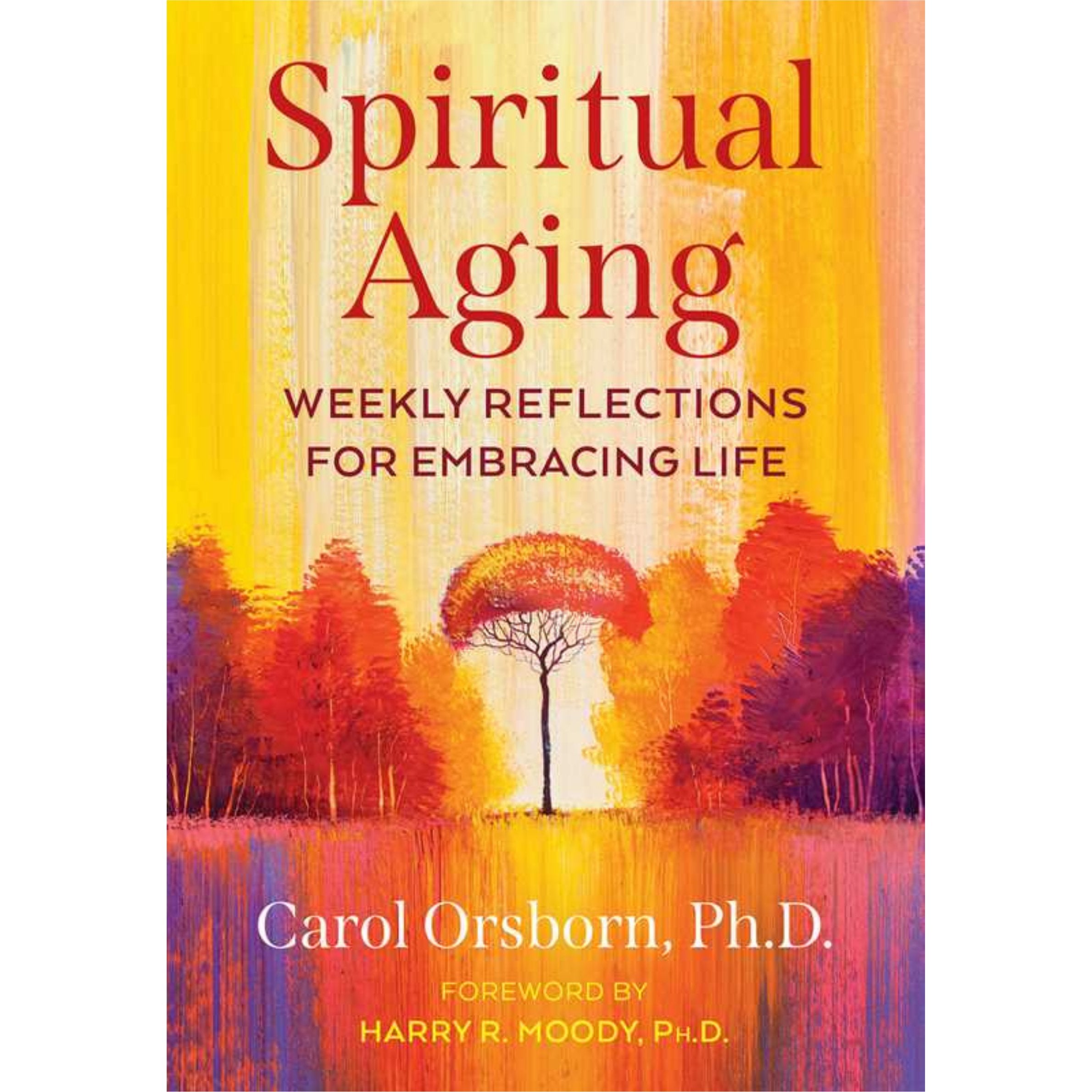 Book cover of 'Spiritual Aging' with a colorful landscape design.