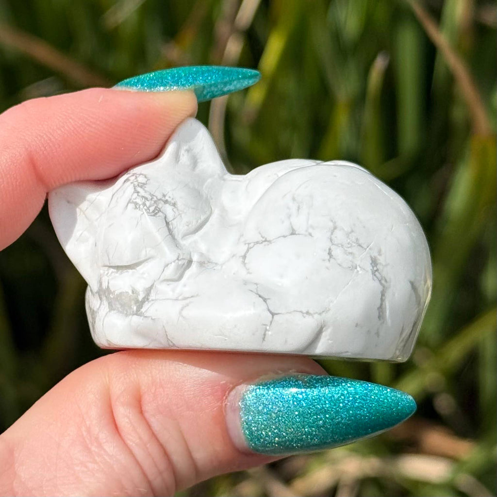 Sleepy Kitty Howlite
