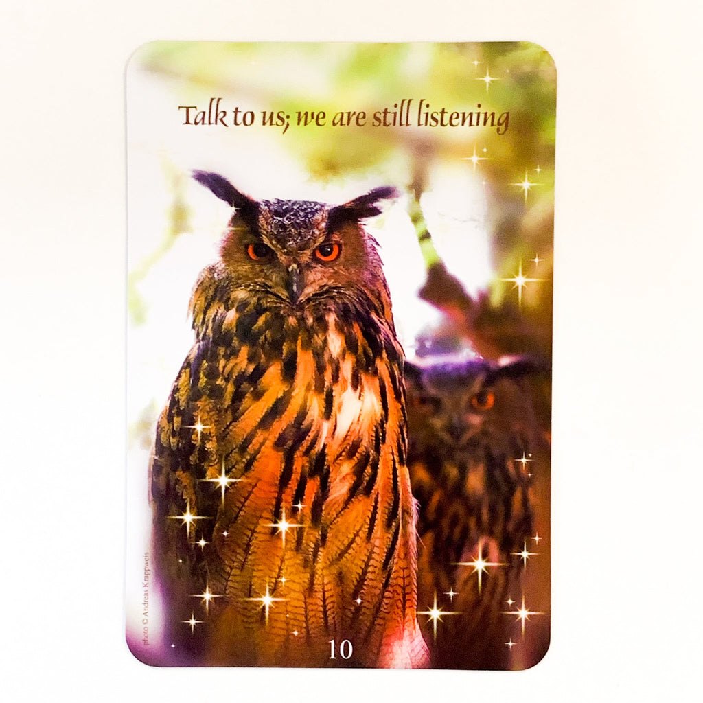 Messages from Heaven Communication Cards: Love and Guidance from the Other Side of Life image 2
