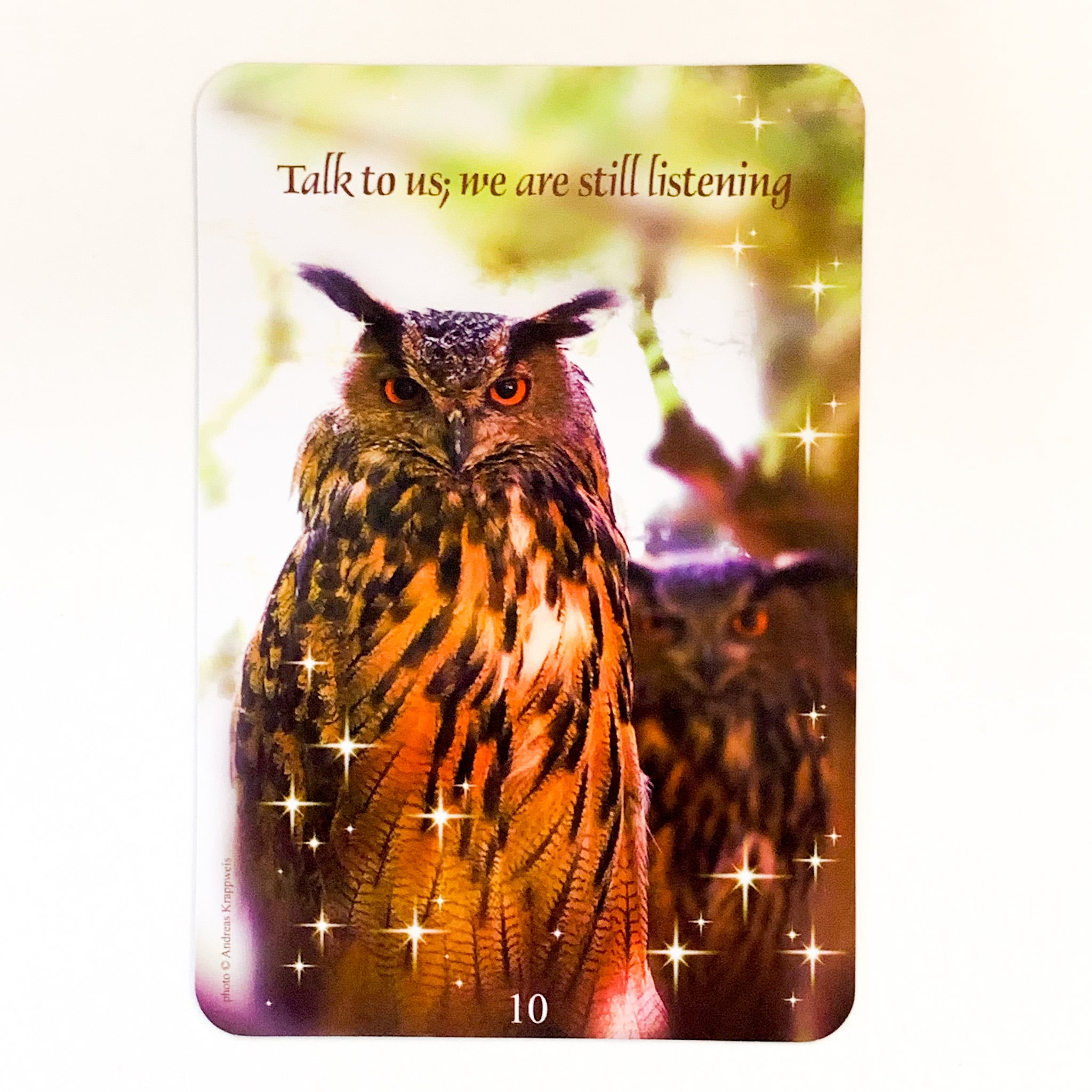 Messages from Heaven Communication Cards: Love and Guidance from the Other Side of Life image 2