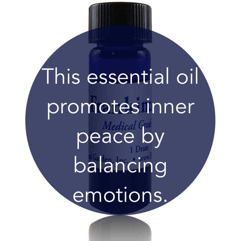 Frankincense Essential Oil image 1
