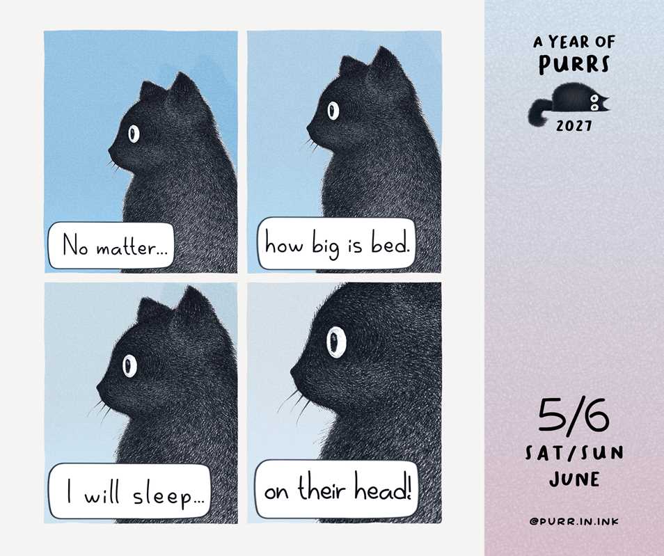 2027 A Year of Purrs Day-to-Day Calendar