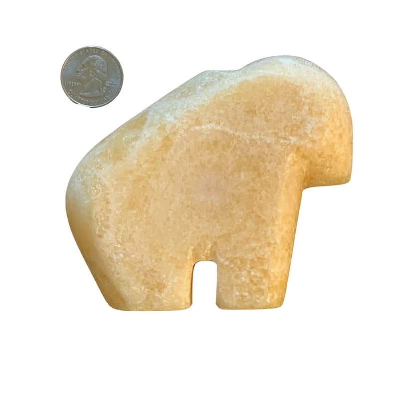 Orange Calcite Zuni Buffalo image 2