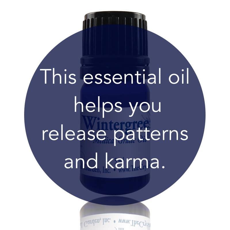 Wintergreen Essential Oil image 1