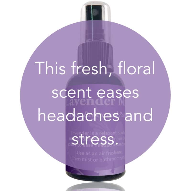 Lavender Mist image 1