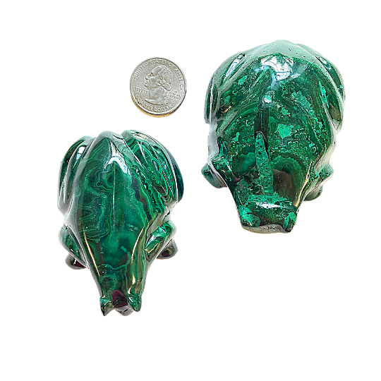 Malachite Frog Large image 1