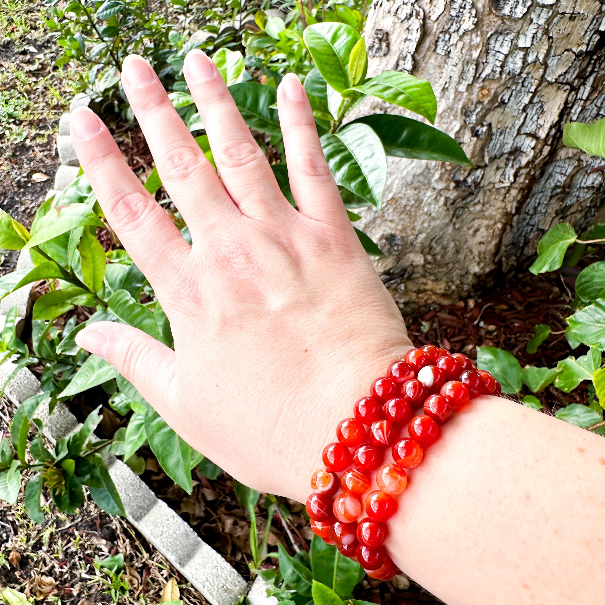 Carnelian Bracelet 8mm image 3