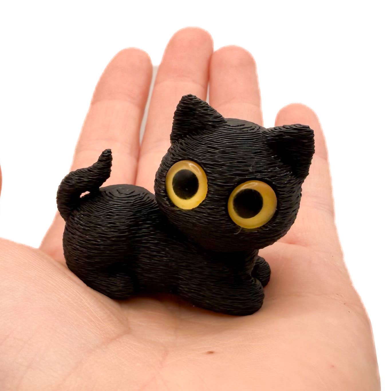 Big Eye Cats