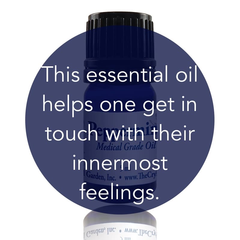 Peppermint Essential Oil image 1