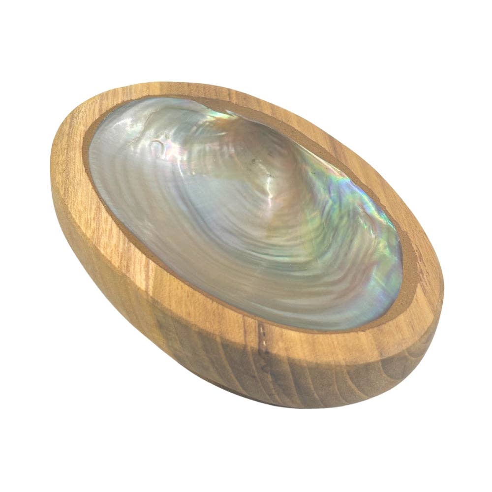 Abalone Shell in Wood Base