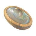 Abalone Shell in Wood Base