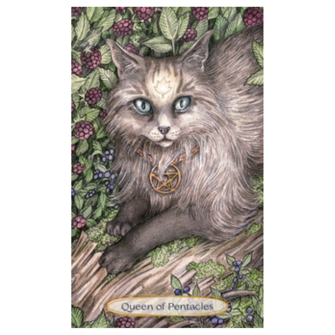 Soul Cats Tarot image 1